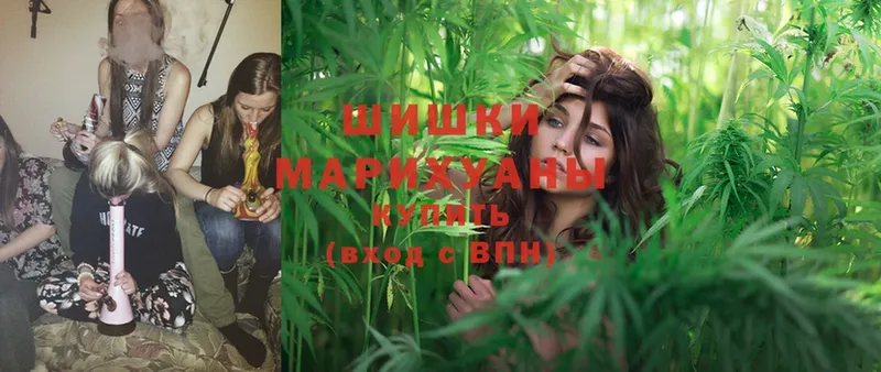 Бошки марихуана LSD WEED  купить закладку  Балабаново 